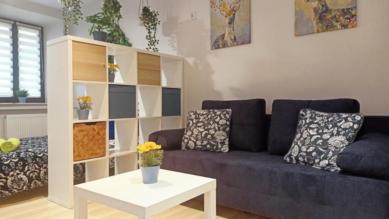 Apartament Granatowy Swietoduska 12 Lublin Kültér fotó
